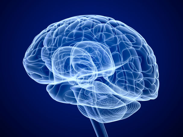 Alex Mit/Shutterstock