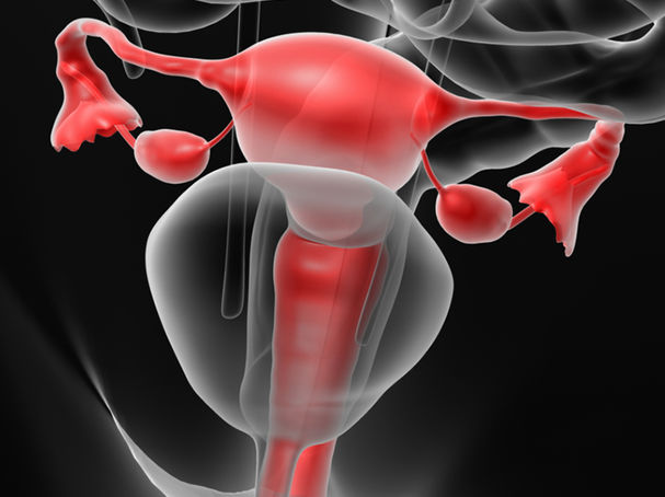 A Tipped Uterus And Intercourse Positions Psychology Today