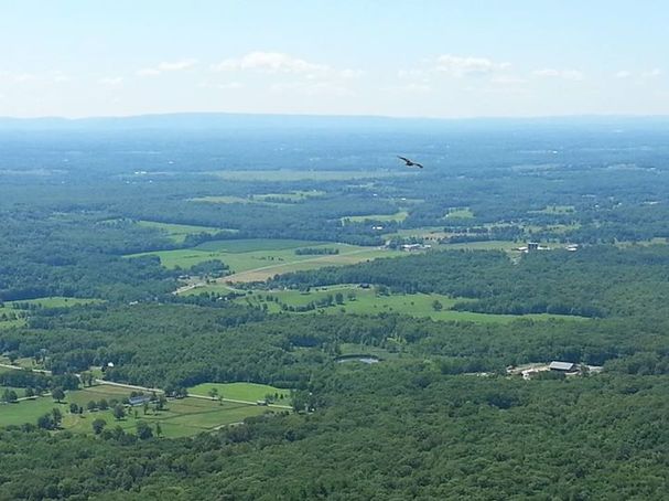 Glenn Geher - taken at Mohonk Preserve