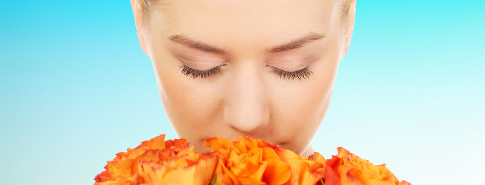 PhotoMediaShutterstock