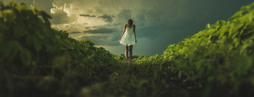 Matthew Henry Unsplash Matthew Henry Unsplash