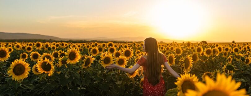 Djrandco/Shutterstock Djrandco/Shutterstock