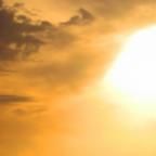 15 Crazy Things About Vaginas