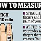 What Do Your Fingers Tell About Your Hormones, Personality, and Sexuality? 