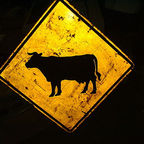 flickr.com/photos/mrbill/241402