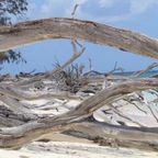 Can Mindfulness Really Reduce Chronic Pain?