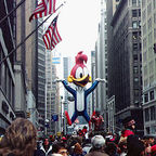 Five Things Everyone Can Be Thankful For