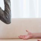 Shutterstock: Stock images