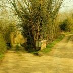 Yearning for the Romantic Road Not Taken