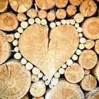 What Makes Families Resilient?