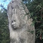 (c) 2017 John E Robison