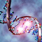 Reviewing the Evidence for Mental Illness Being Epigenetic