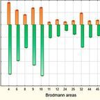 Brain Imaging and Behavior DOI 10.1007/s11682-016-9648-9