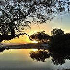 Five Myths That Can Derail Your Summer Travels