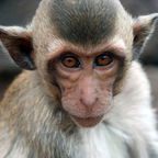 Yes, Humans Are Still Evolving