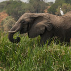 The Secret to Remembering Your Vacation Better