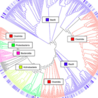 Flickr Creative Commons