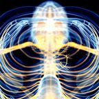 Sebastian Kaulitzki/Shutterstock