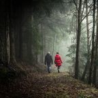 Photograph by Sebastian Pichler. Copyright free. Unsplash.com