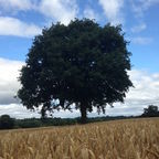 7 Qualities of Truly Authentic People