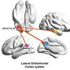 Courtesy of University of Warwick, used with permission