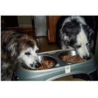 Valerle photo - Creative Commons License