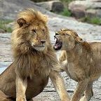 Psychology's Political Diversity Problem