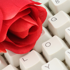 Science and the Online Dating Profile 