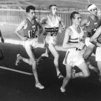 WikimediaCommons_PublicDomain