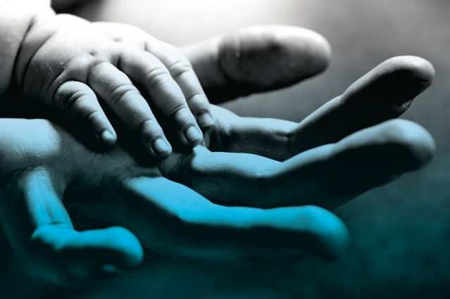 Baby's hand in an adults'