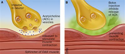 Neurochemistry of botulinum toxin.
