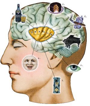 Pacemaker of disgust Insula