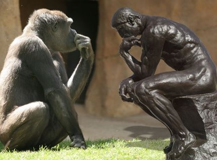 Evolutionary Psychology And The Human Condition | Psychology Today