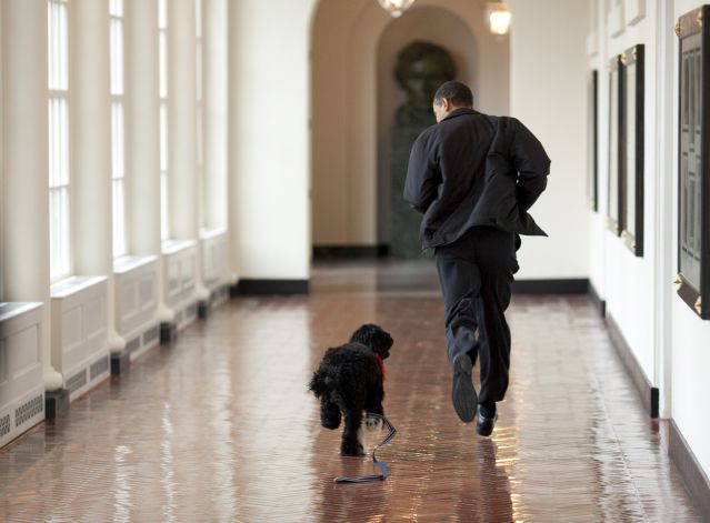 Bo and The President