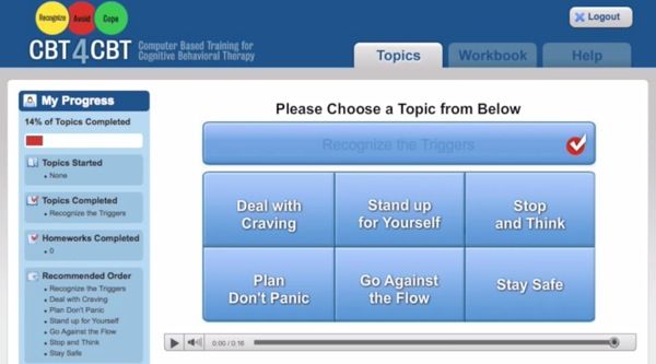 This is a screen grab from the CBT4CBT program demo video.