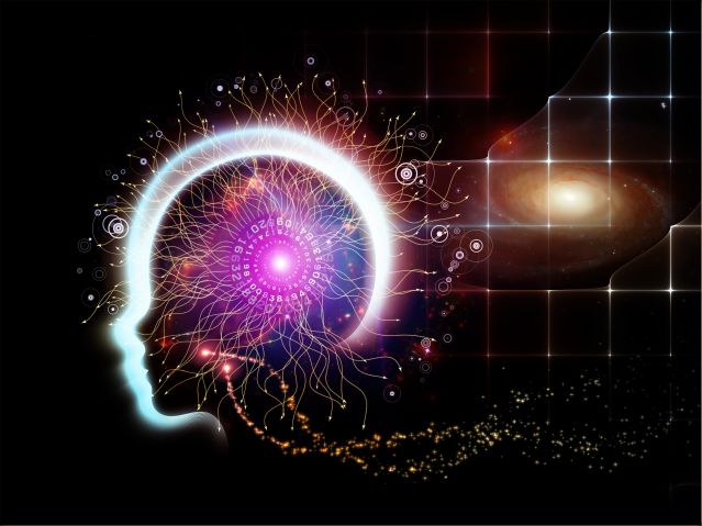 Brain Responds to Light Picture of a brain responding to light
