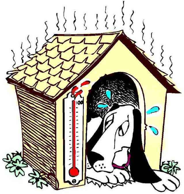 Do dogs sweat? Psychology Today