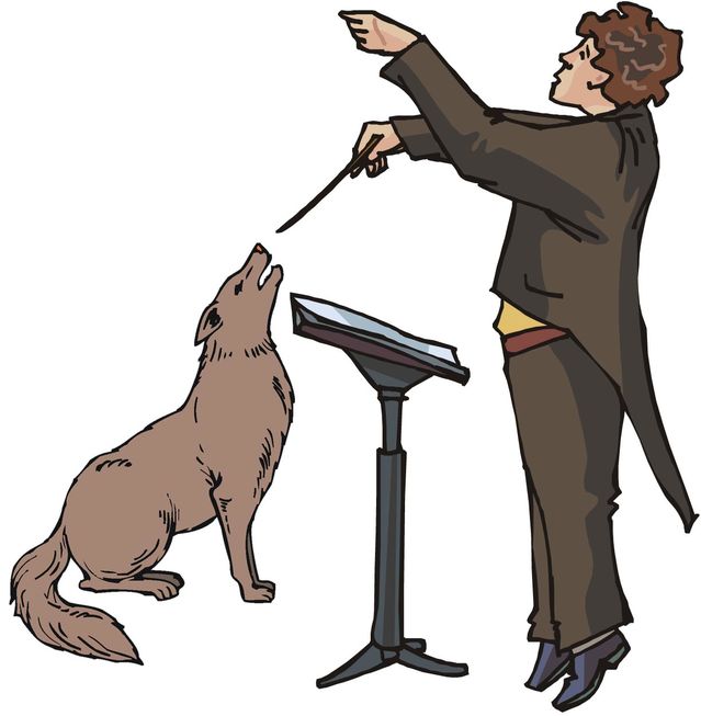 T pose animal jam video