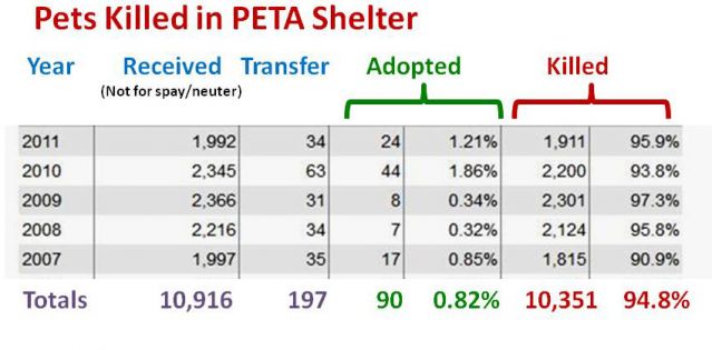 How many animals are adopted each year?