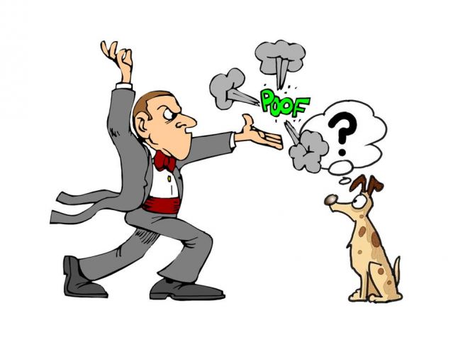 dog canine pet human animal bond consciousness thinking Imagery thought