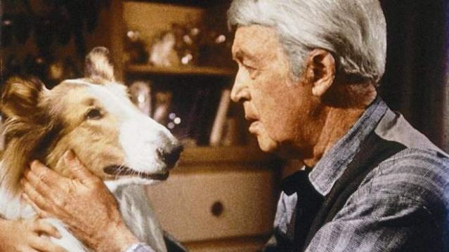 jimmy james stewart dog pet canine lassie movie emotion love