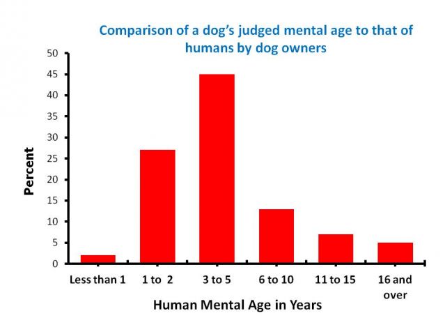 Dogs store emotional intelligence