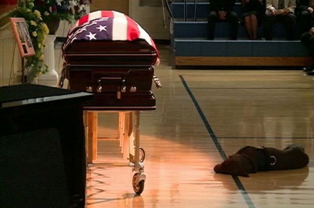 dog canine emotion grief mourn death Hawkeye Jon Tumilson