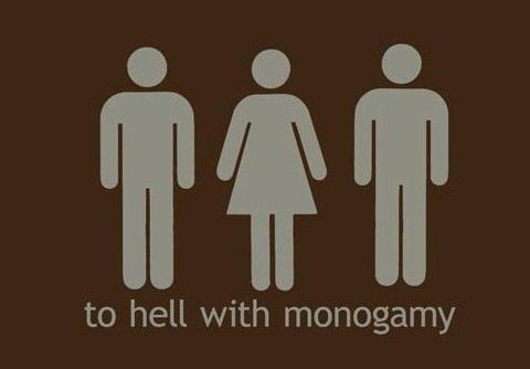 advantages and disadvantages of serial monogamy wiki