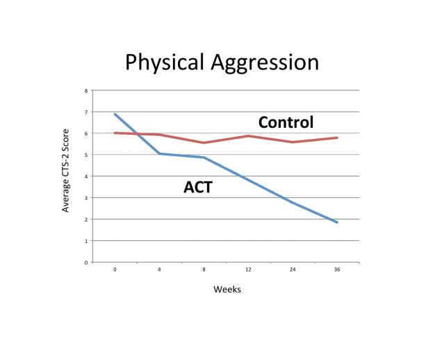 Results of Using ACT to Treat Domestic Violence