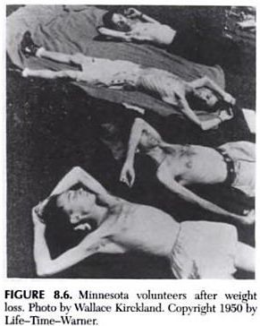 Starvation study shows that recovery from anorexia is 