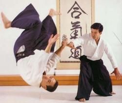 Aikido Test Nerves