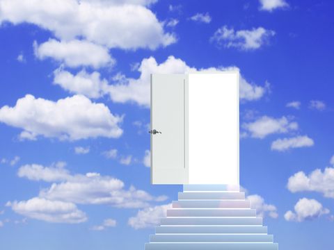 dreams article psychology dreams article psychology