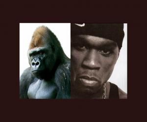 the dehumanization of black
