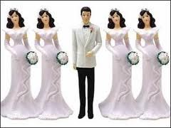 When men have multiple wives, other men are left wifeless - what happens then?